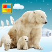 Animals Cards Games APK