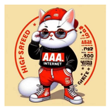 AAA:internet