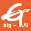 Big G plus icon