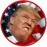 Fake News Button