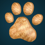 Cat Games
