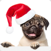 Guess the Dog: Tile Puzzles APK
