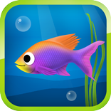 Best Hungry Fish