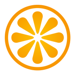 ”VisitBasis | Retail Audit and Merchandising app