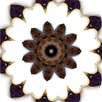 APK Intuitive Mandala Oracle Cards
