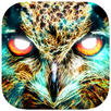 Shamanic Oracle Cards APK