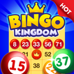 Bingo Kingdom: Bingo Online icon