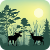 Forest Animals Simulator APK