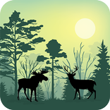 ”Forest Animals Simulator