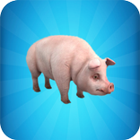 Pig Simulator