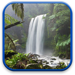 ”Nature Live Wallpaper