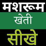 ”मशरूम की खेती की जानकारी