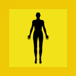 Anatomy