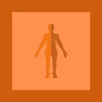 Anatomy Quiz APK