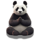 Grateful Panda: Gratitude App icon