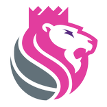 KinGvpn