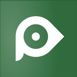 Pietiq