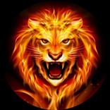 King OF VIP