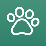 Fetcher: Scraper & Downloader