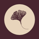 APK Studio Balance