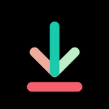 TikTok-Video-Downloader