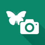 iSCOUT MOBILE - OLD
