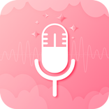Audio Voice Recorder