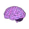 Mr. Mind APK