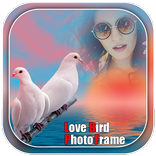Love Birds Photo Frames