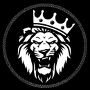 BOLT UDP APK