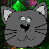 Dancing cat