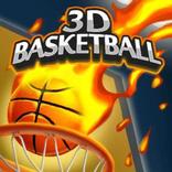 Basket-ball 3D