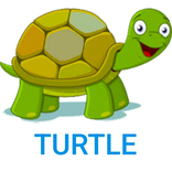 Basic Language Learning