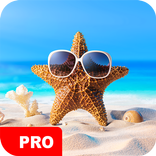 Beach Wallpapers PRO