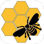 Bee Humble Studio