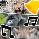 Best Animal Ringtones & Sounds