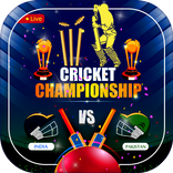 Match Live Score