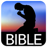 Bible Darby