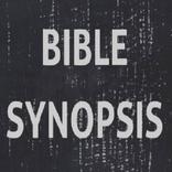 Bible Synopsis