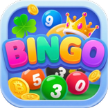 Bingo Lucky Night