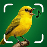 Bird Call Identifier: SnapBird