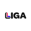 Liga ikon