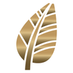Sistema FAEP (Paraná) icon