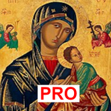 Saint Virgin Mary prayers PRO
