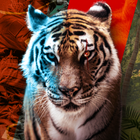 Animal Clash icon