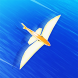 Fly And Swim