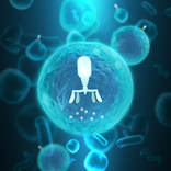 CRISPR Crunch - Microbe Match