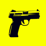 Hired Gun