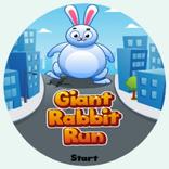 Giant Rabbit Run