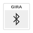 Gira System 3000 icon